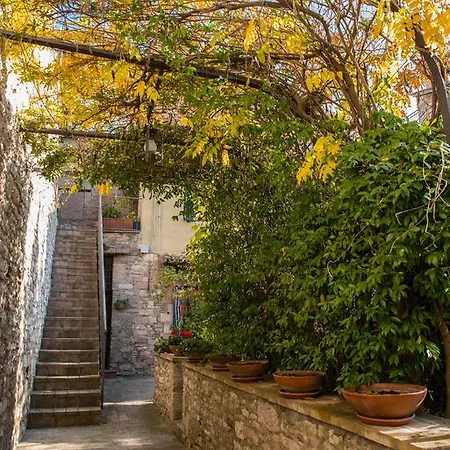 La Petite Maison *